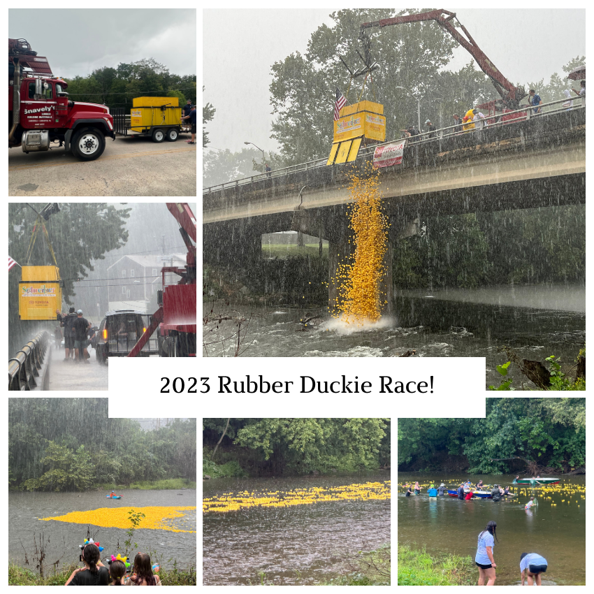 A collage of images showing the truck and crane transporting and releasing hundreds of yellow rubber duckies into the river in the rain.