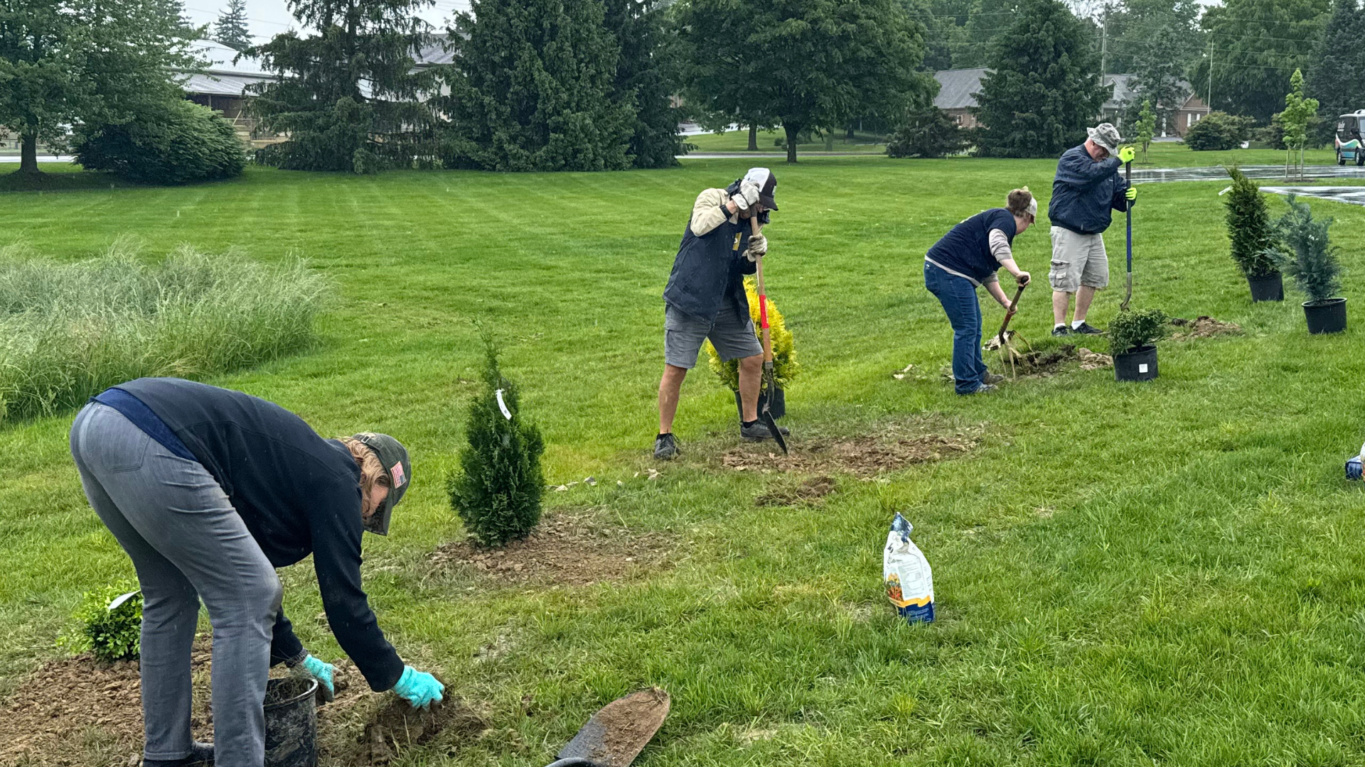 volunteers planting trees in field